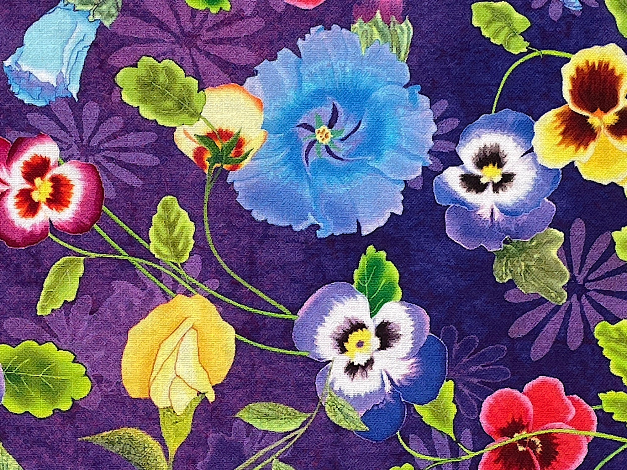 Close up of purple cotton fabric covered with pansies.