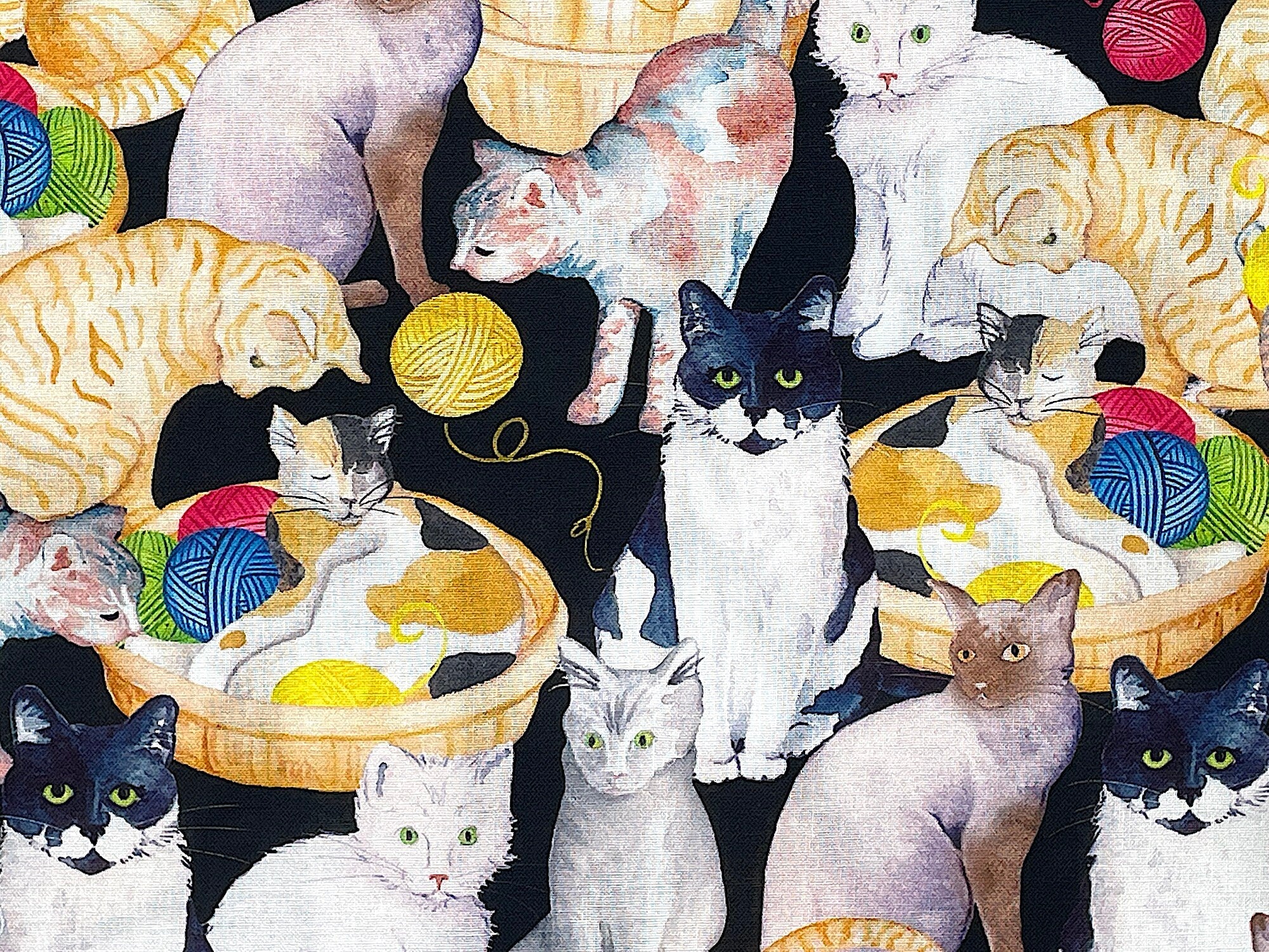 Close up of cats and balls of yarn.