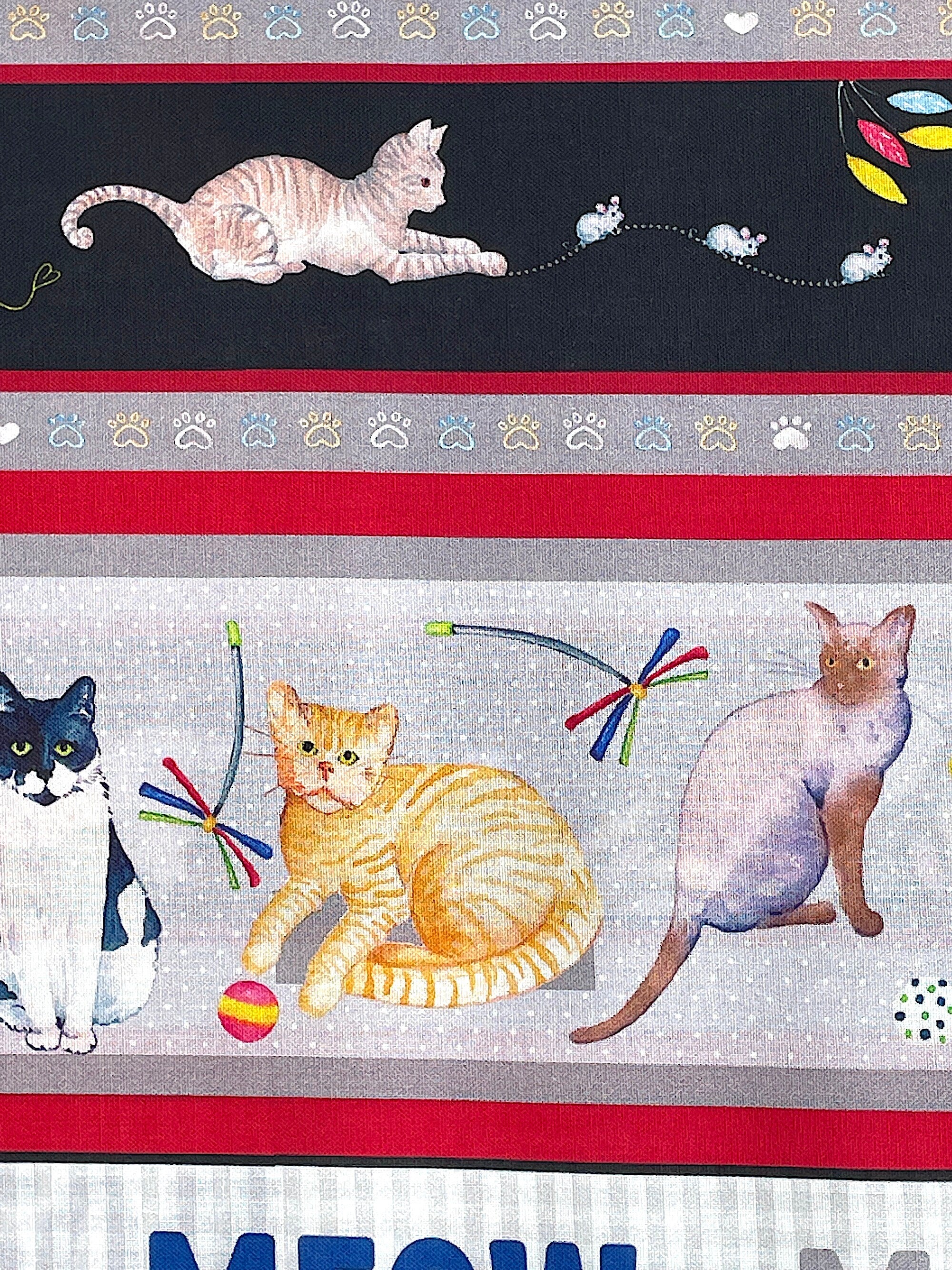 Close up of cats, paw prints and more.