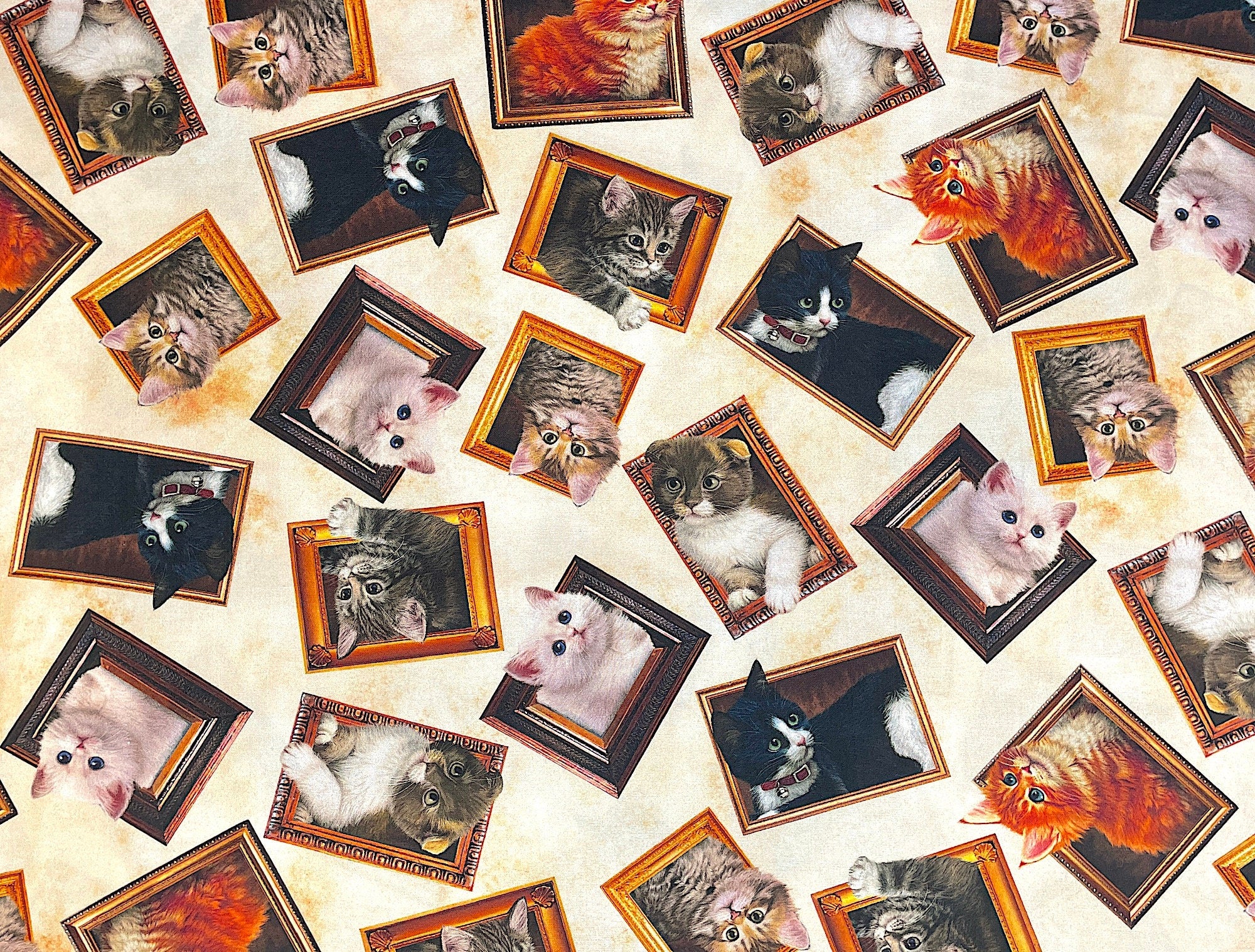 Lots of cats in frames.