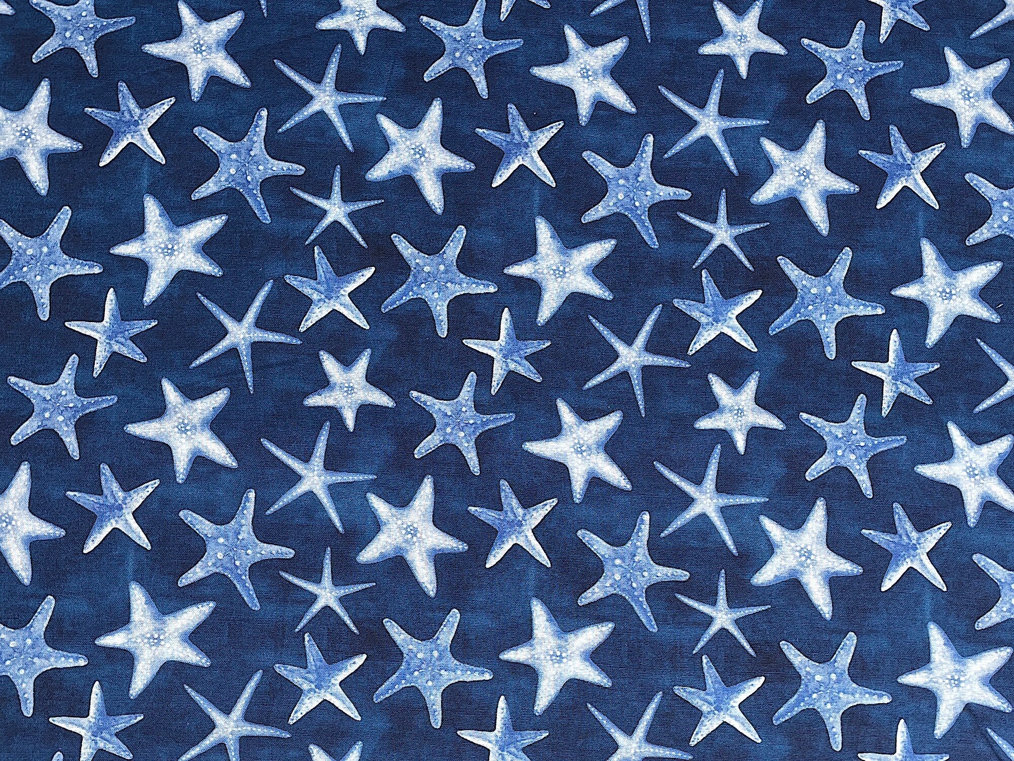 Starfish on a dark blue background.