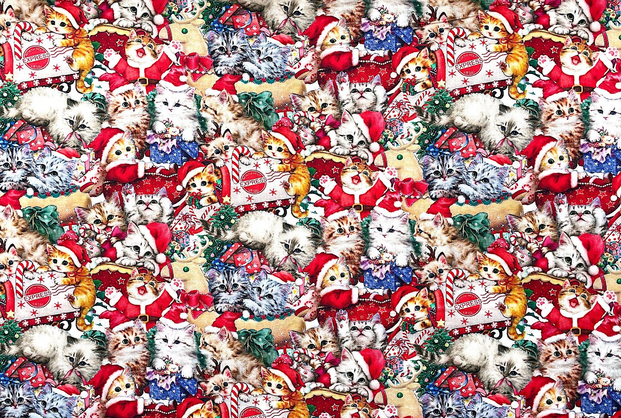 Cotton fabric covered with Kittens, most are wearing Santa hats.