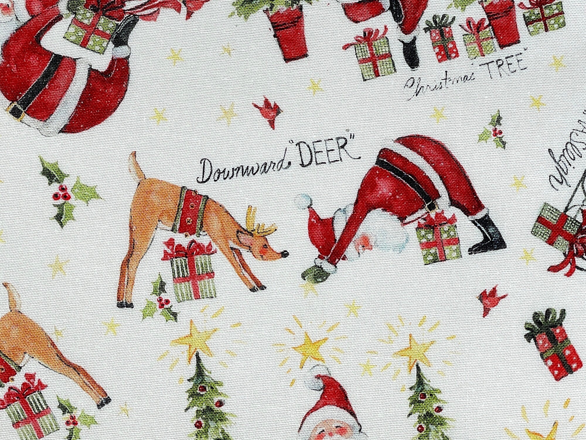 Close up of a reindeer and Santa doing the downward deer pose.
