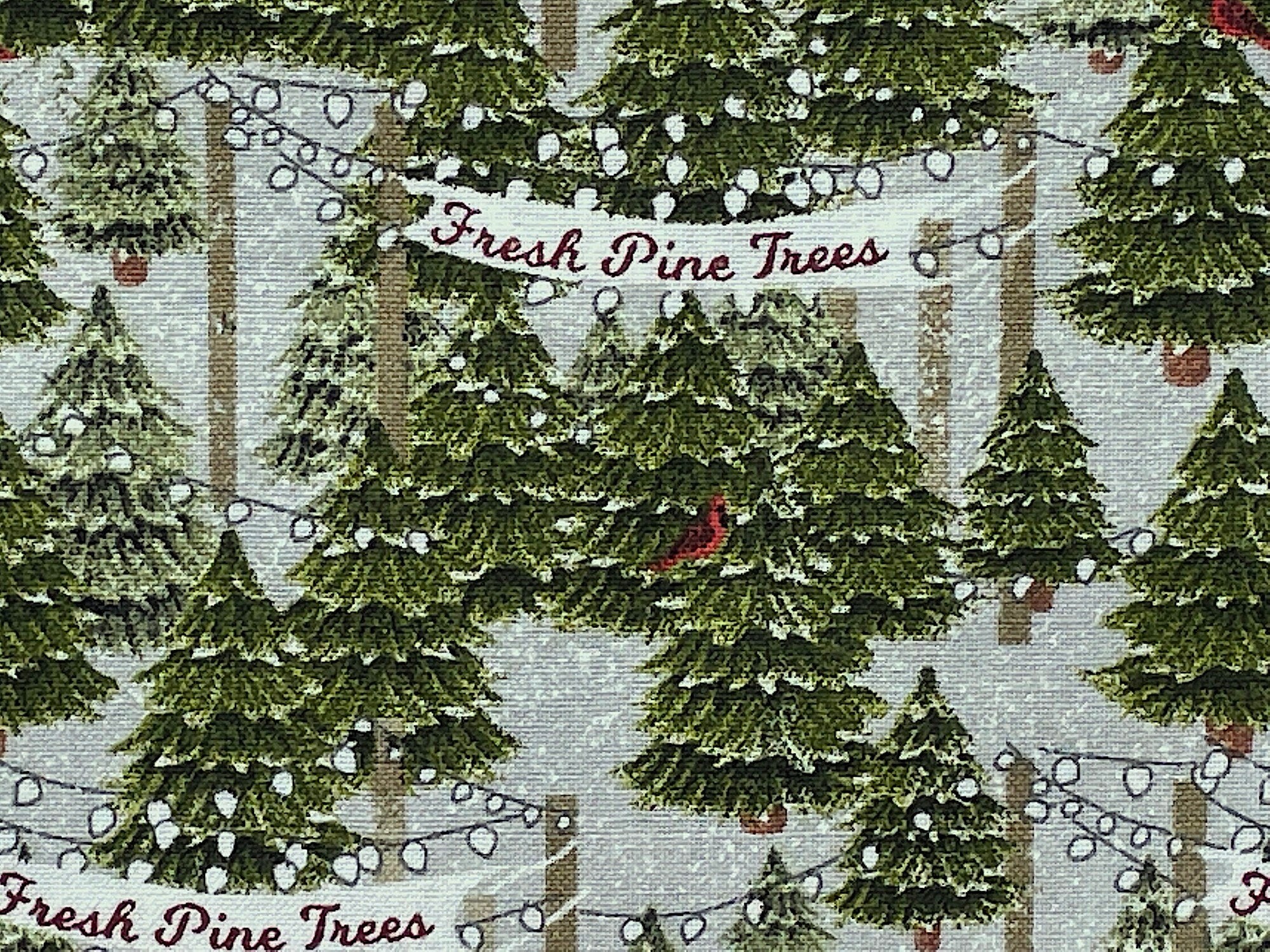 Close up of trees with a little snow on them and a red bird sitting on one of the branches.