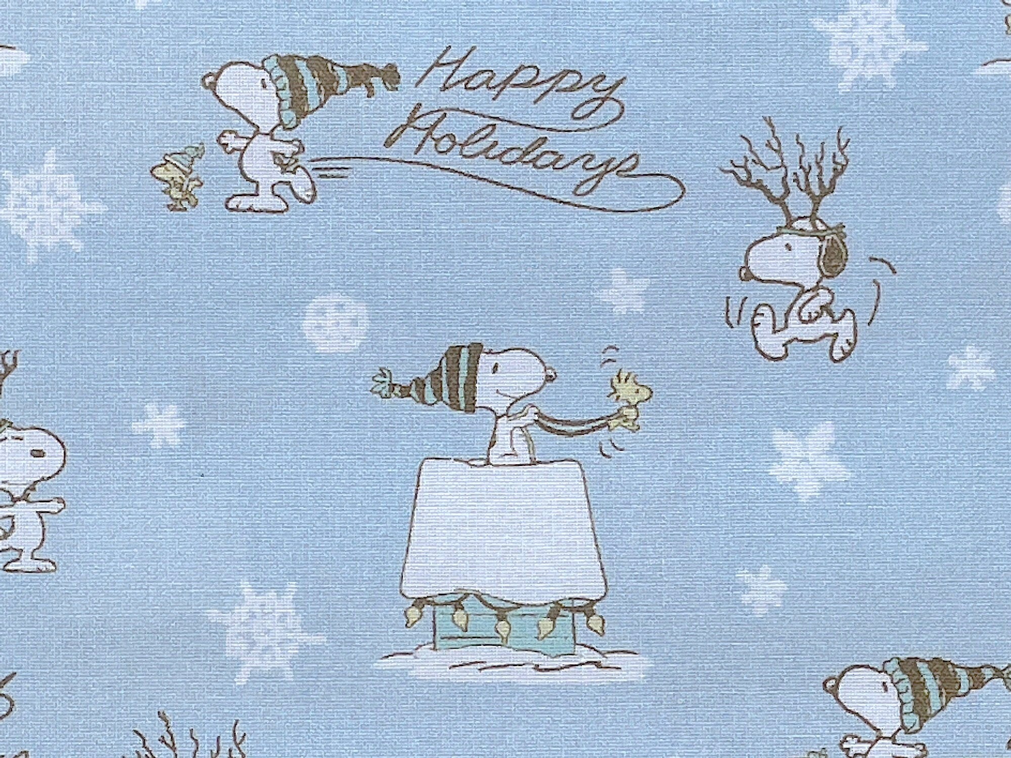 Close up of snoopy on top of his house, wearing antlers and skating.