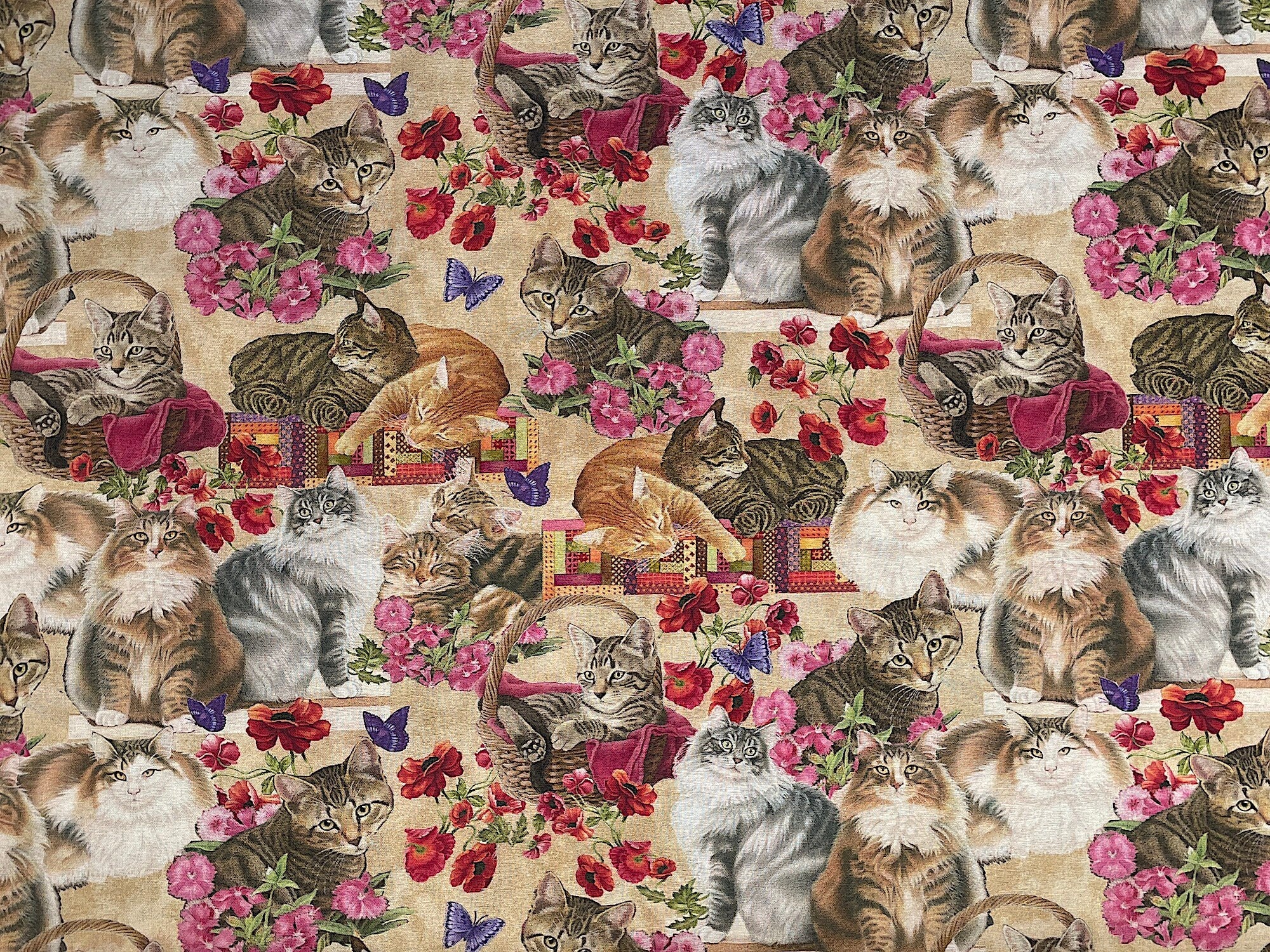 This fabric is covered with cats on shelves, cats in baskets, cats on quilts and cats surrounded by flowers. the background is beige. Francien Van Westerling designed this fabric which is part of the Cats & Quilts collection