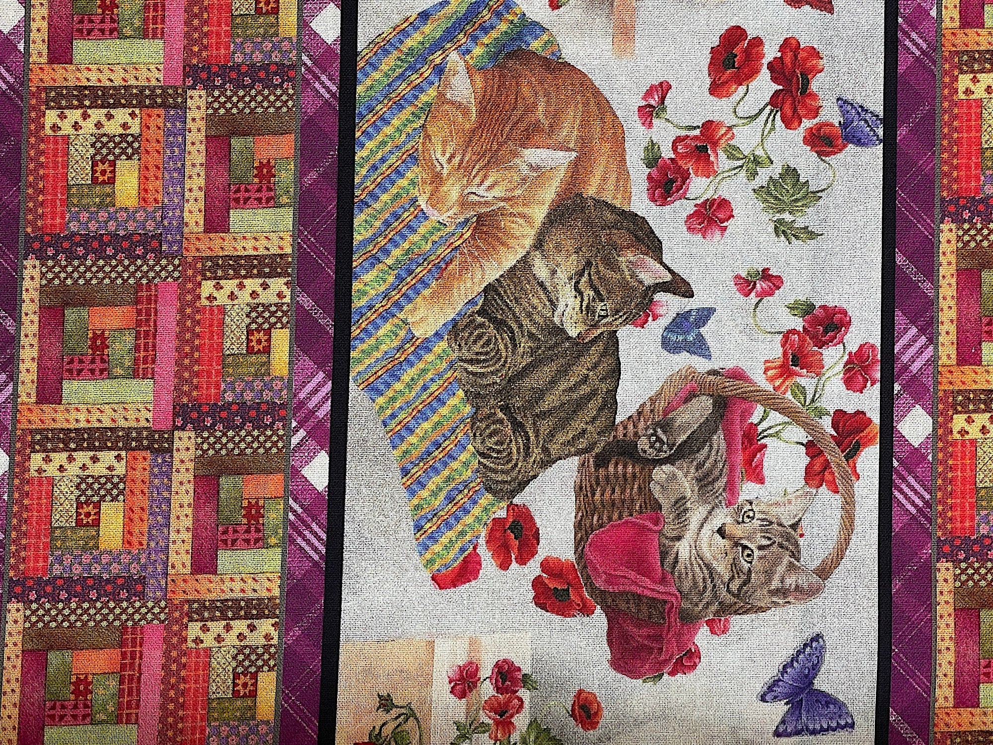 Close up of cats in one stripe, quilt in another.