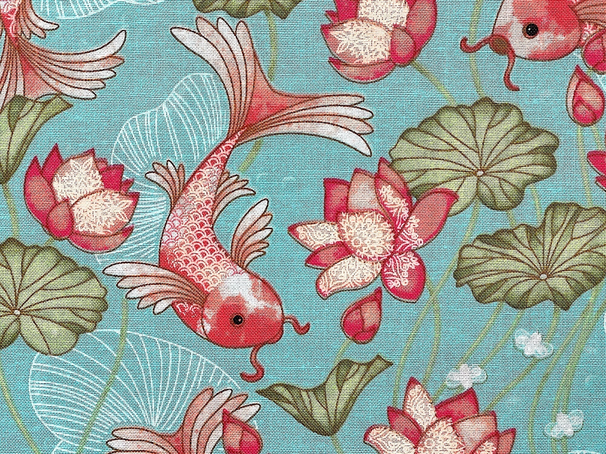 Close up of koi and water plants.