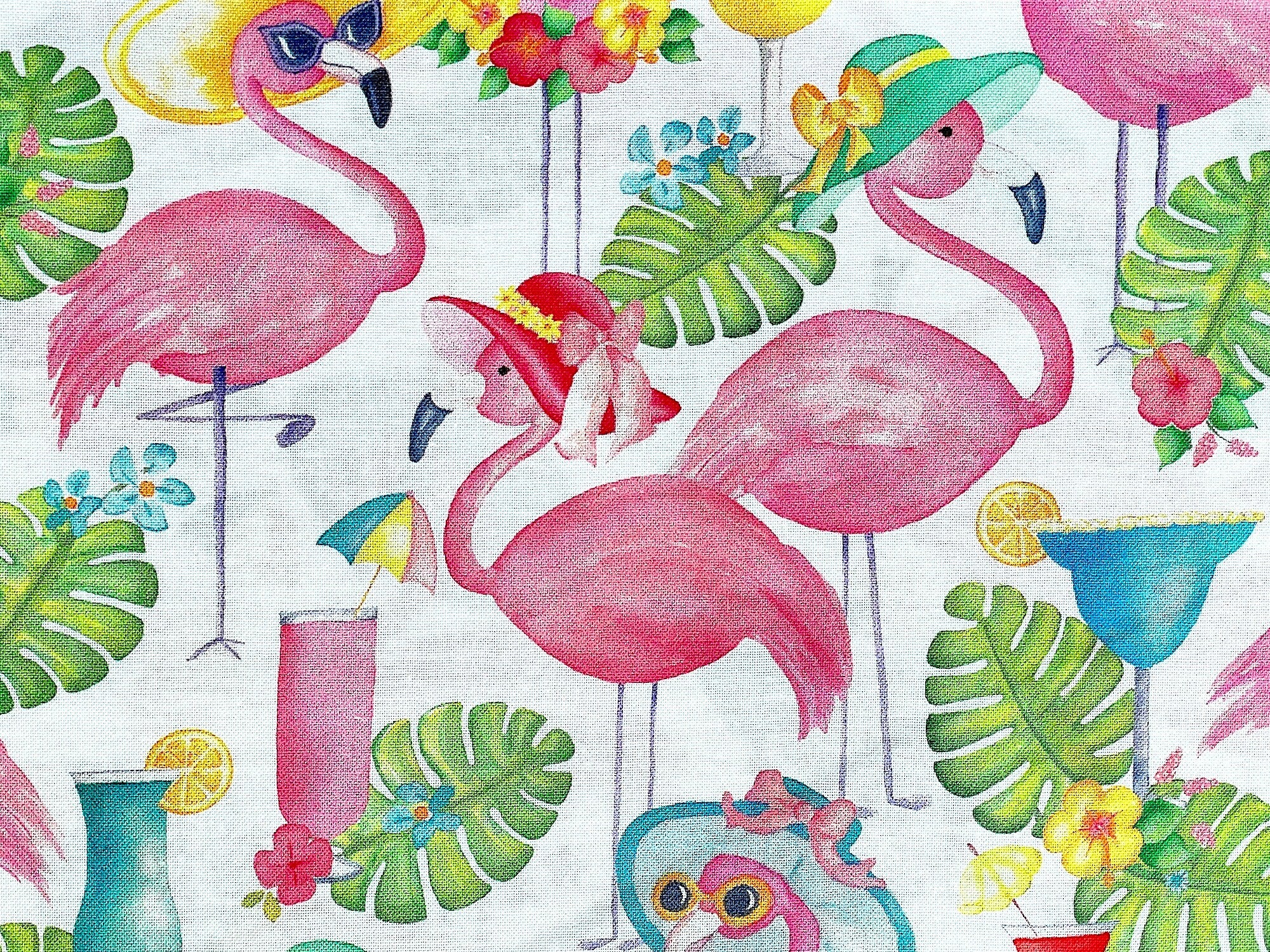 Close up of flamingoes.