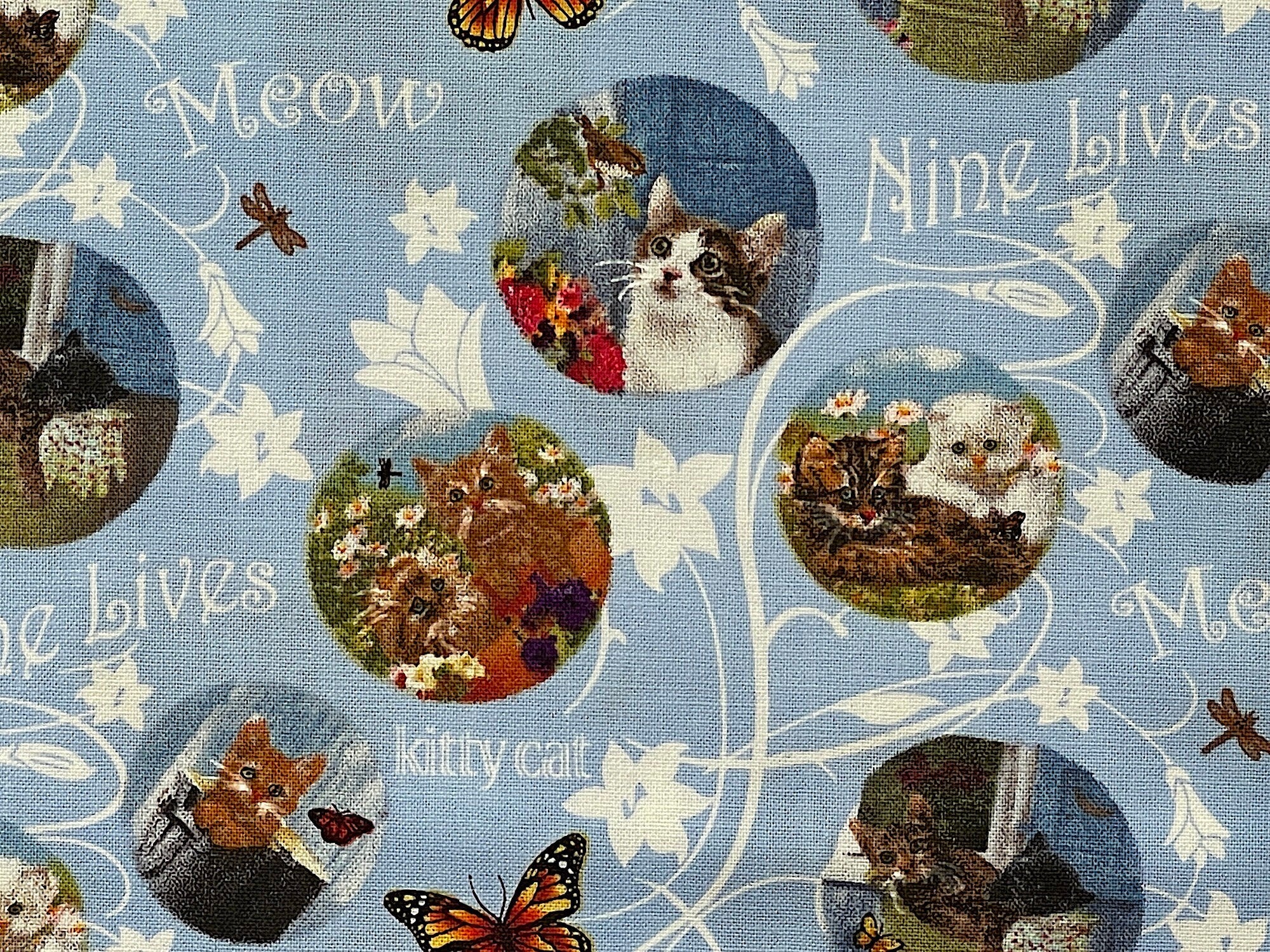 Close  up of cats and flowers in circles surrounded by sayings such as meow and nine lives.