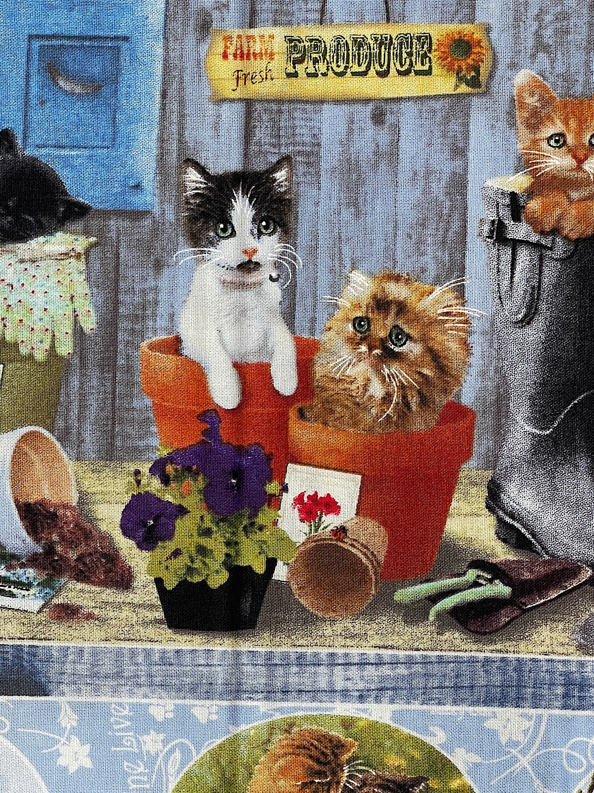 Close up of cats in pots, pansies and more.
