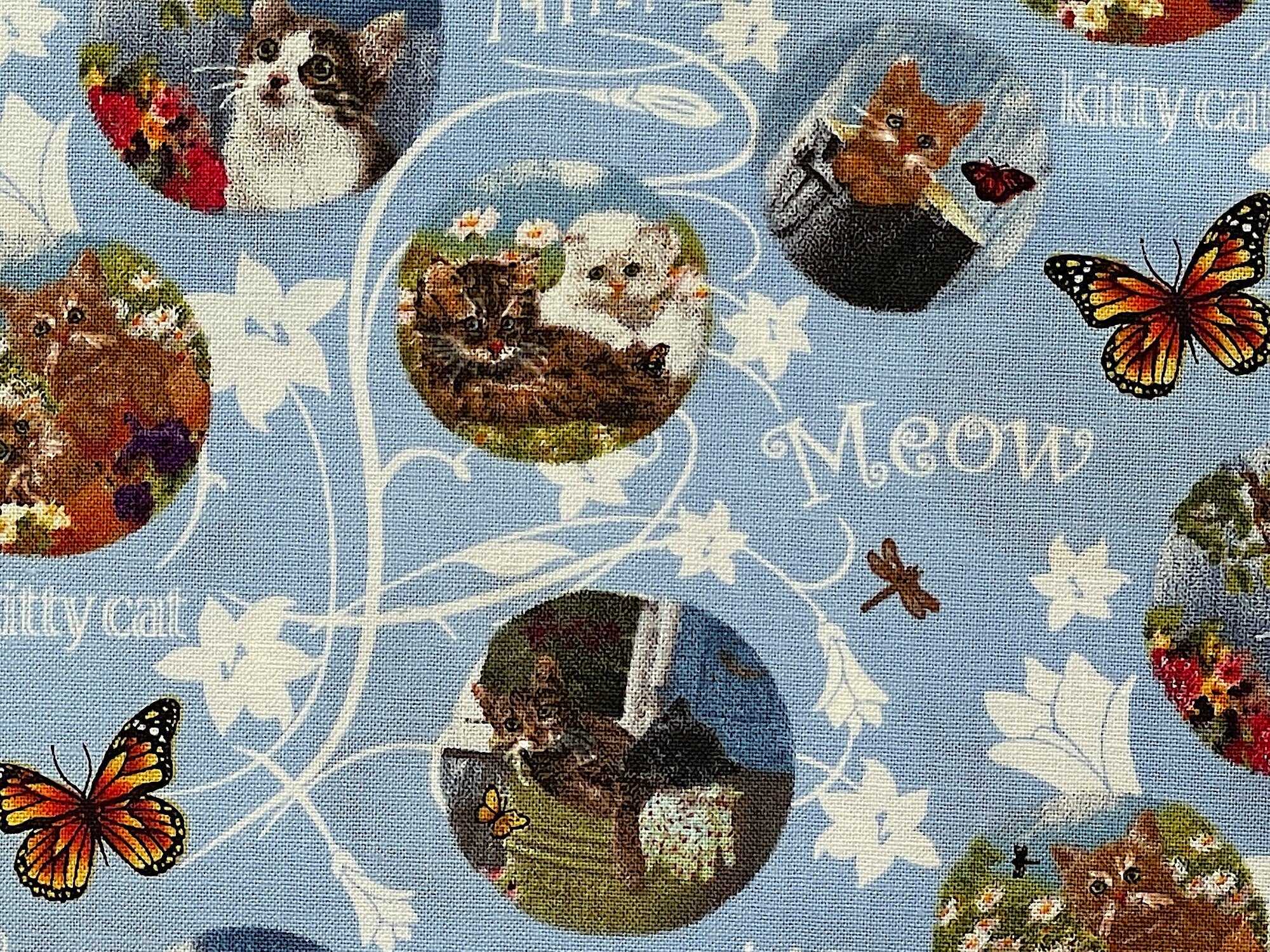 Close up of cats, butterflies and flowers.