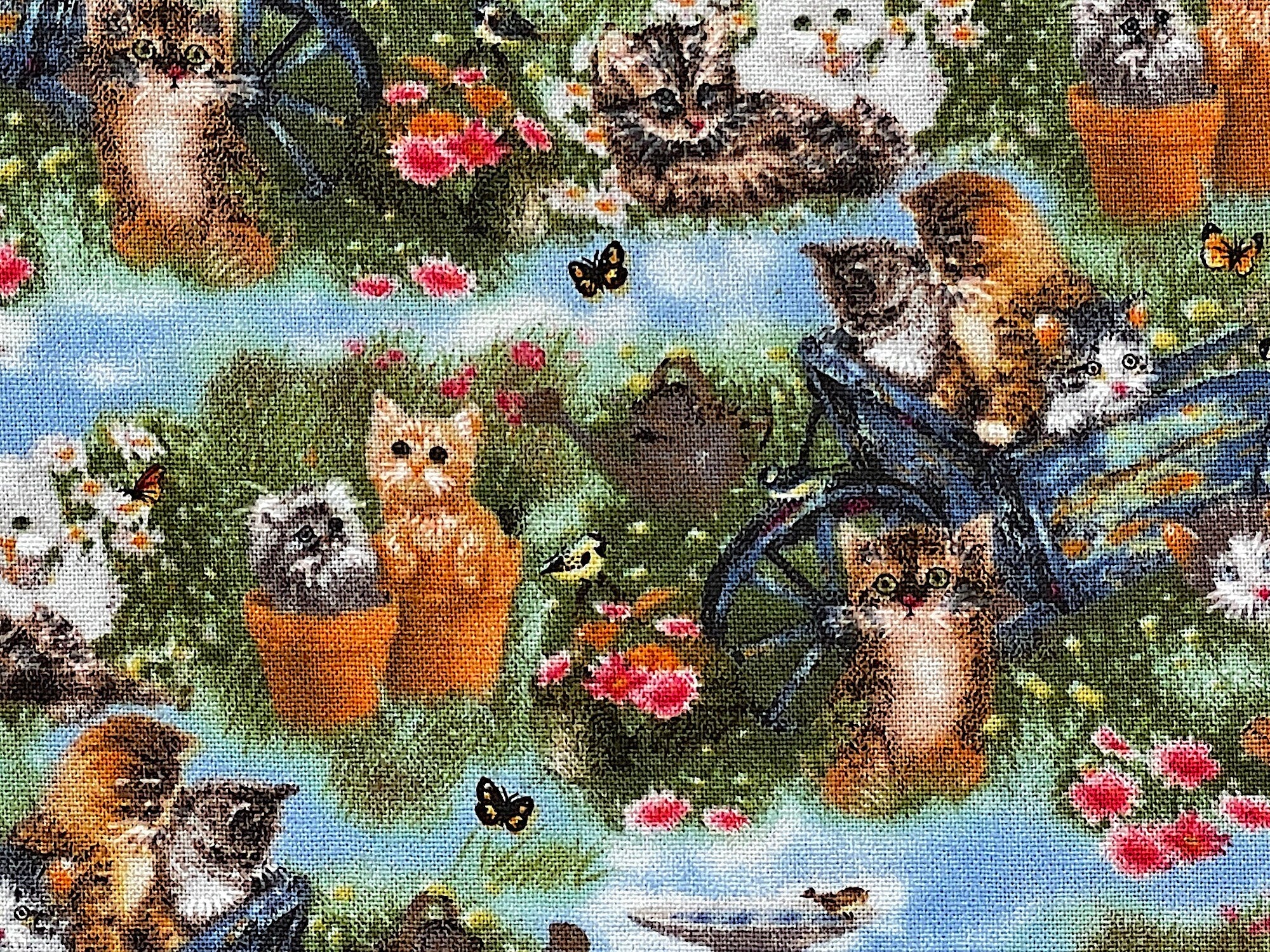 Close up of cats in a wheelbarrow in a garden amongst grass and flowers.