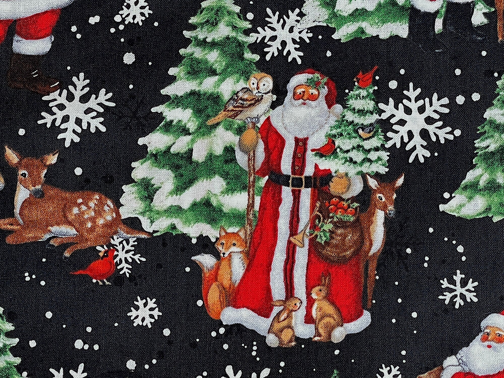 Santa with and owl, reindeer, fox and more.