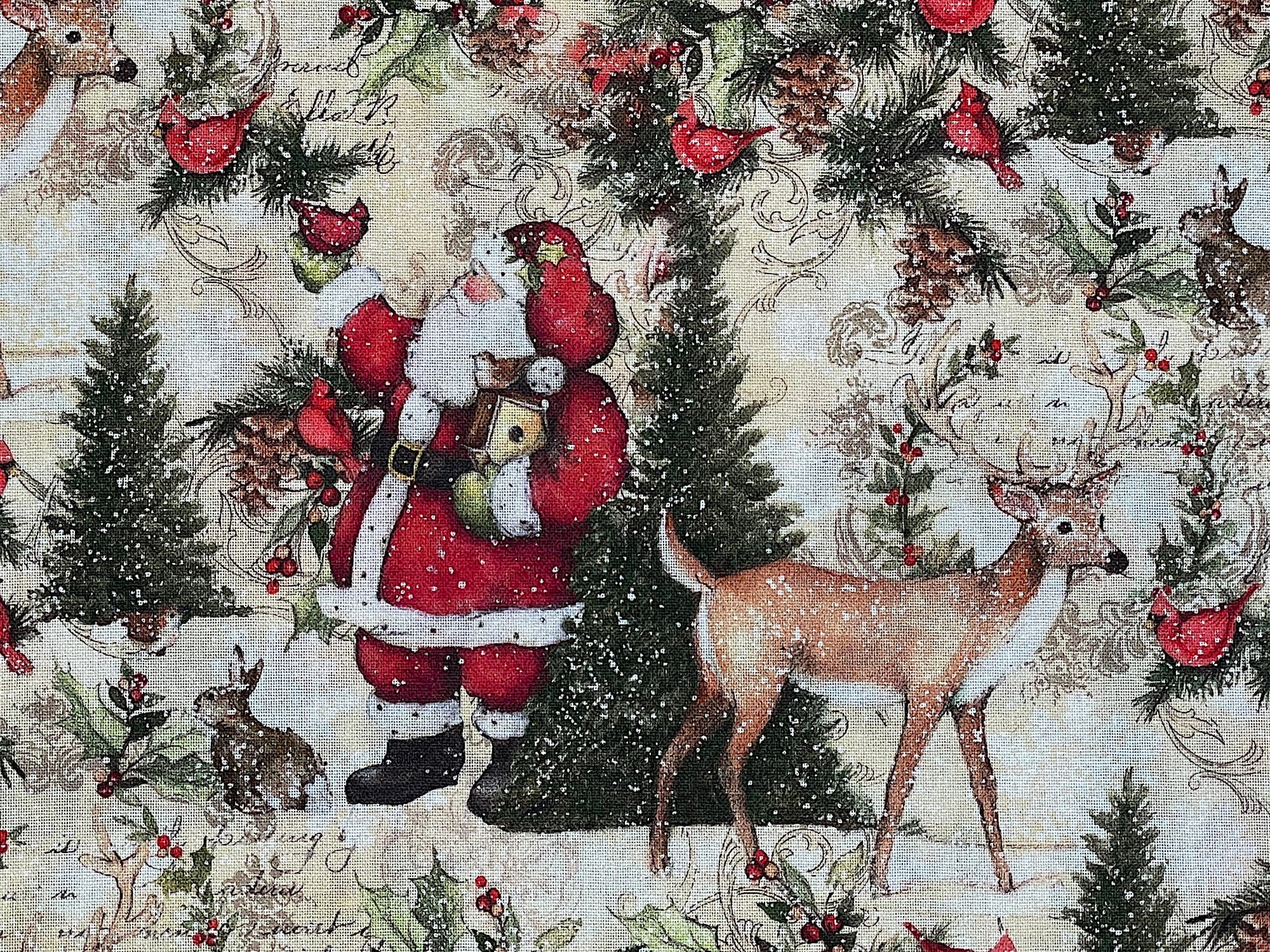Close up of Santa Claus, reindeer, trees and birds.