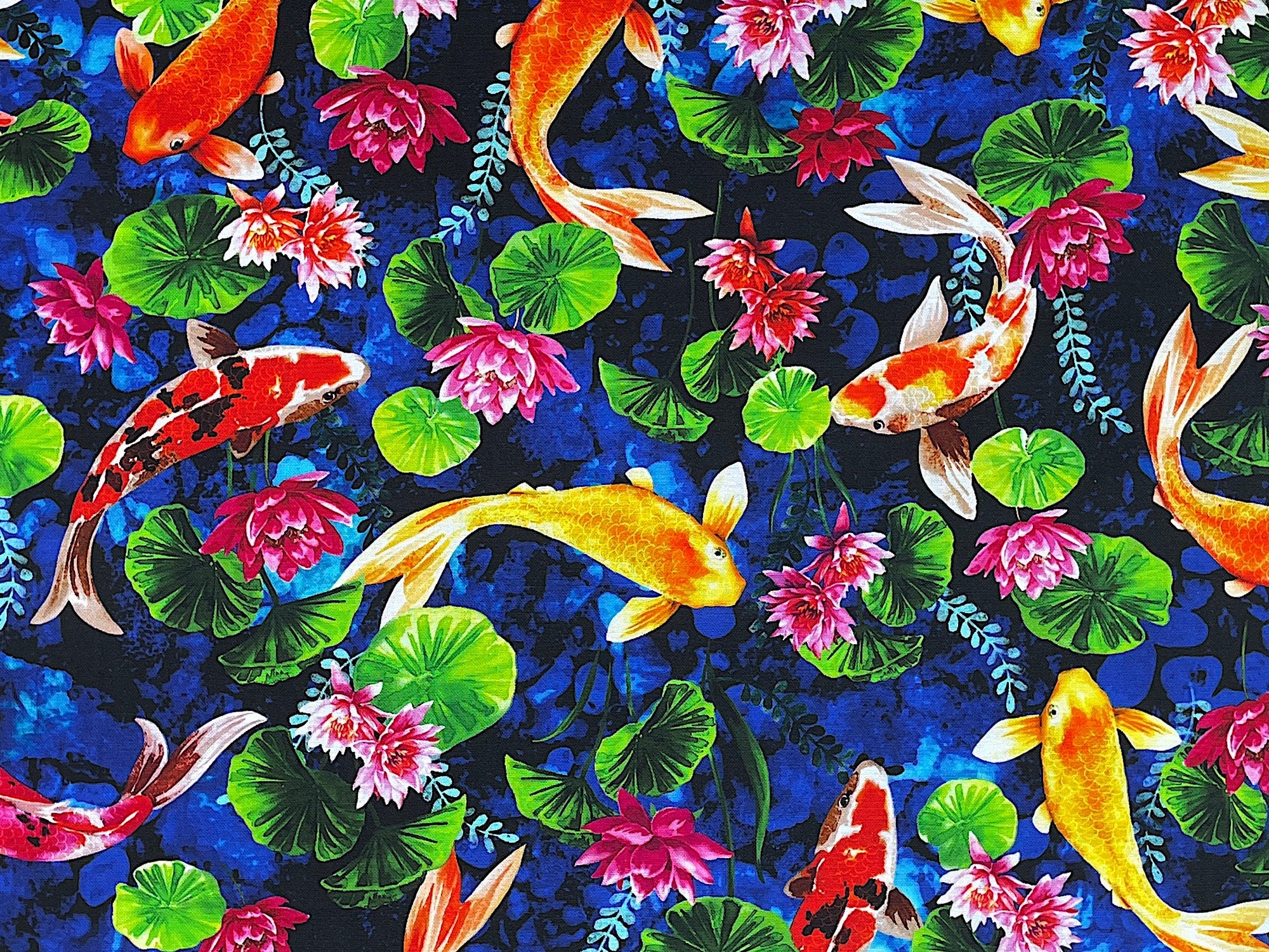 This cotton fabric is covered with orange, yellow and multi colored koi fish. There are also water lilies, water lotus throughout the fabric. 