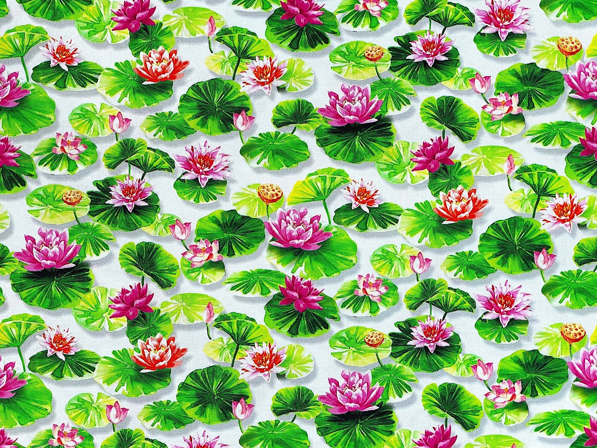 This cotton fabric is covered with water lotus throughout the fabric. The water lotus are in shades of red and orange. This fabric is part of the Koi Pond collection by Michael Miller.