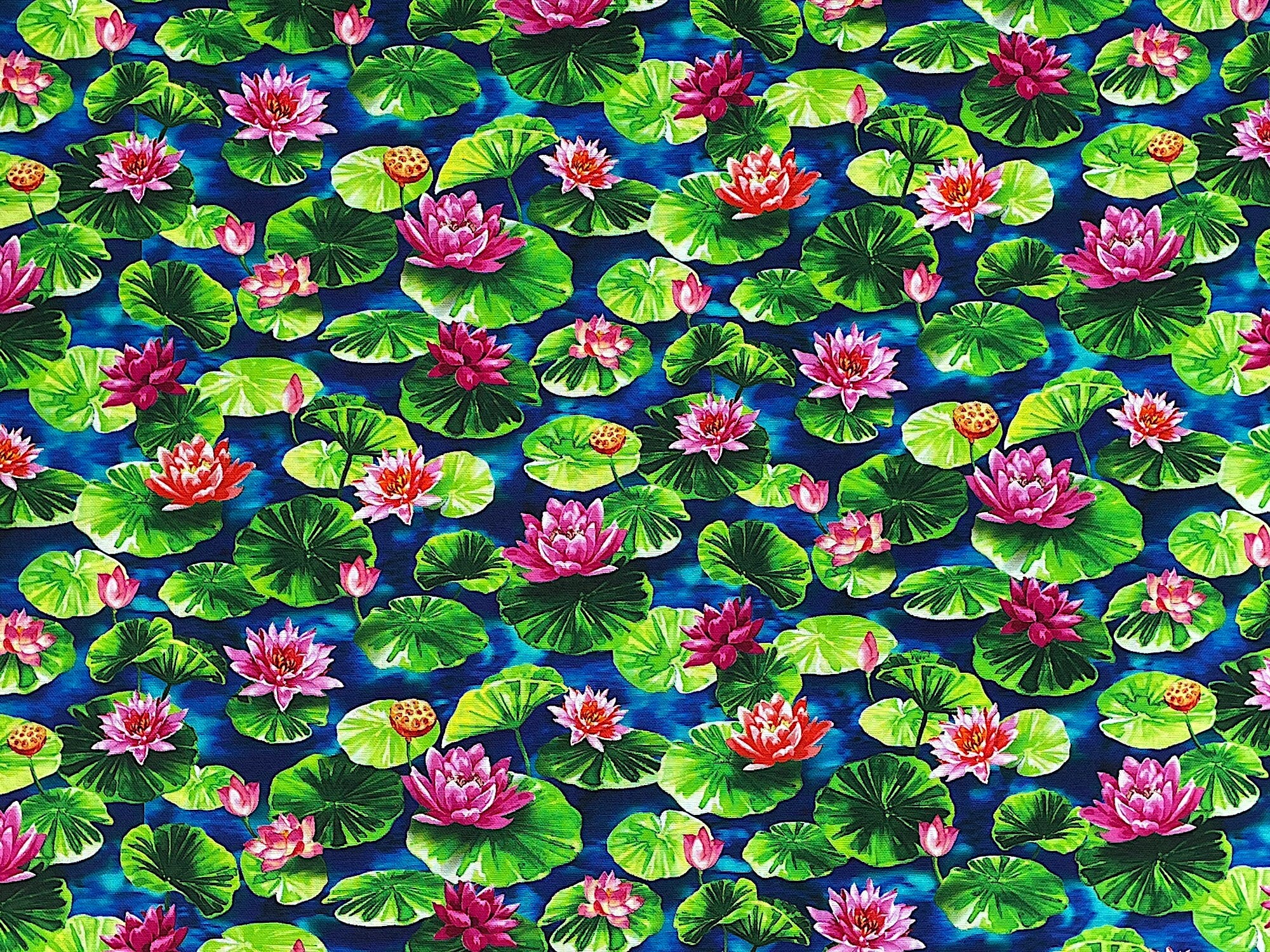 Koi Pond - Blue Water Lotus - Fish Fabric - Cotton Fabric - Quilting Fabric - Michael Miller - FISH-41