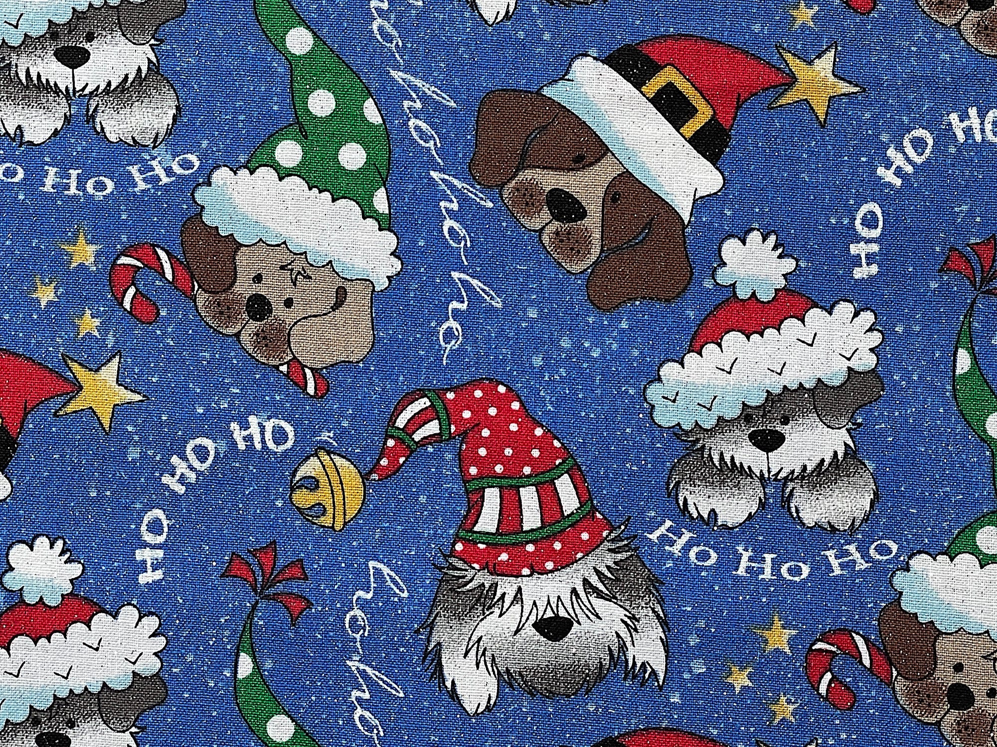 Close up of dogs wearing Santa hats on a blue background.