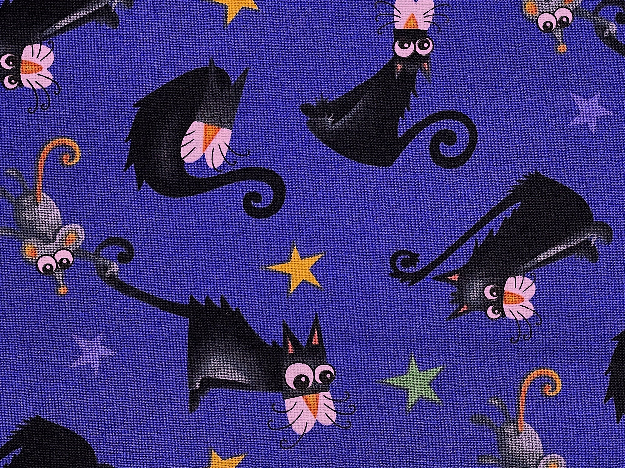 Close up of black cats and stars.