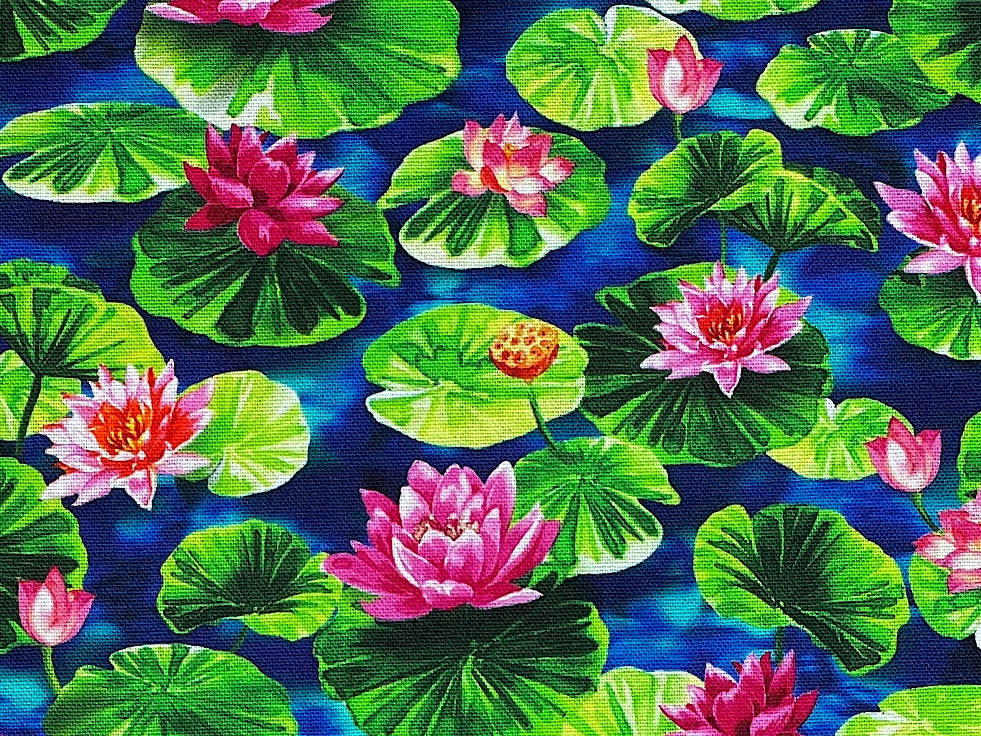 Koi Pond - Blue Water Lotus - Fish Fabric - Cotton Fabric - Quilting Fabric - Michael Miller - FISH-41