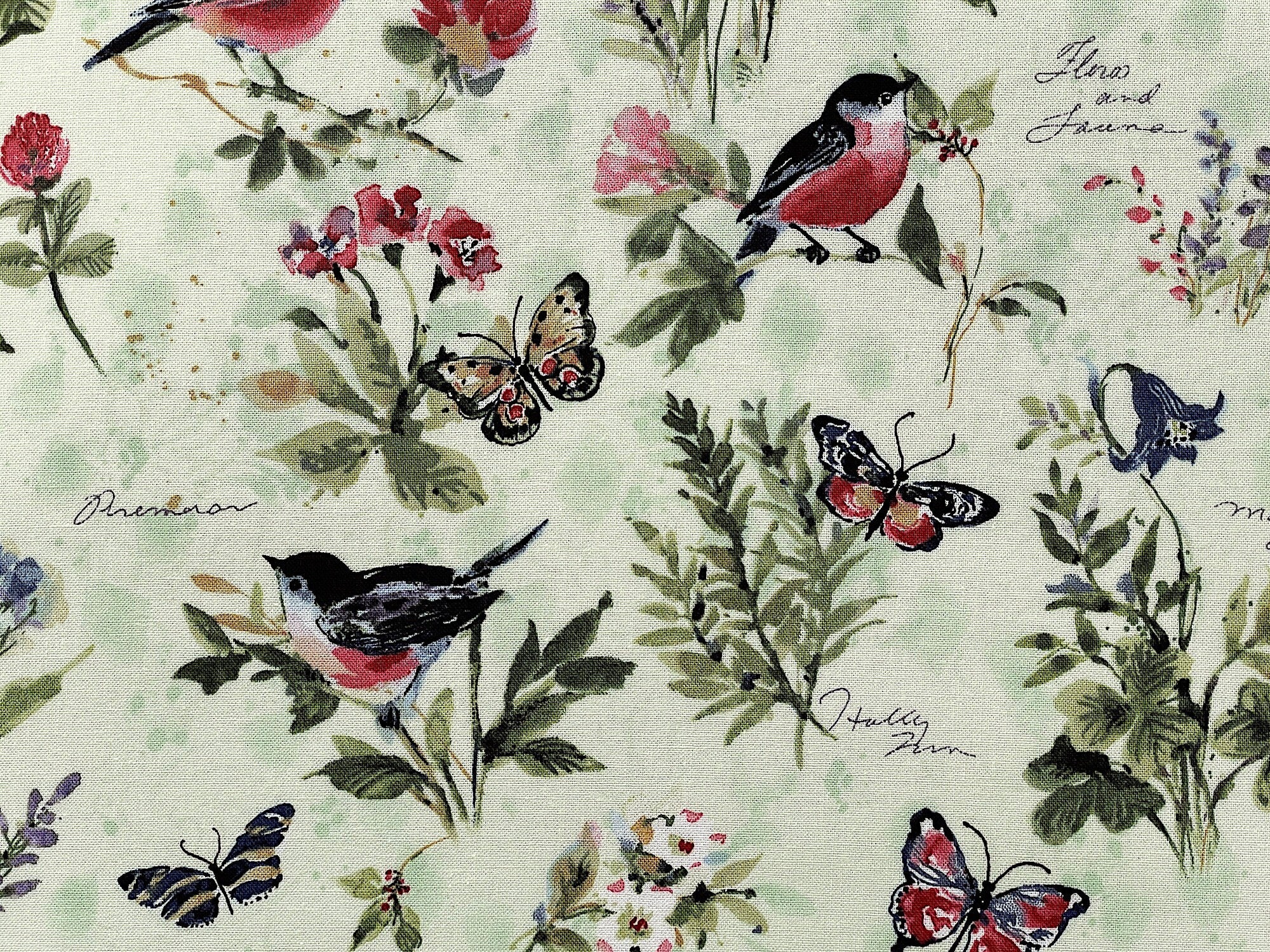 Close up of butterflies, birds and flowers.