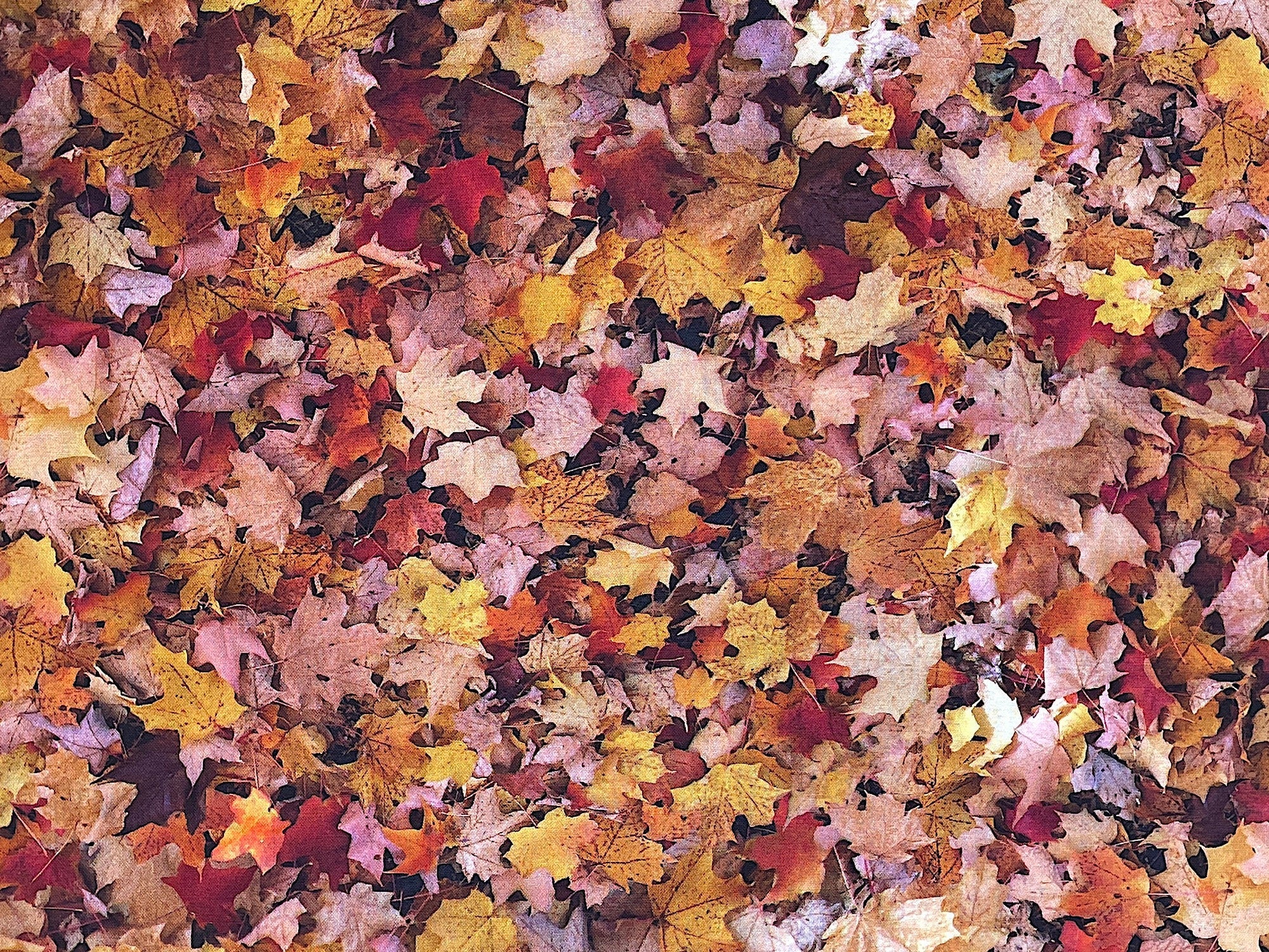 This cotton fabric is covered with brown, yellow, red and orange leaves