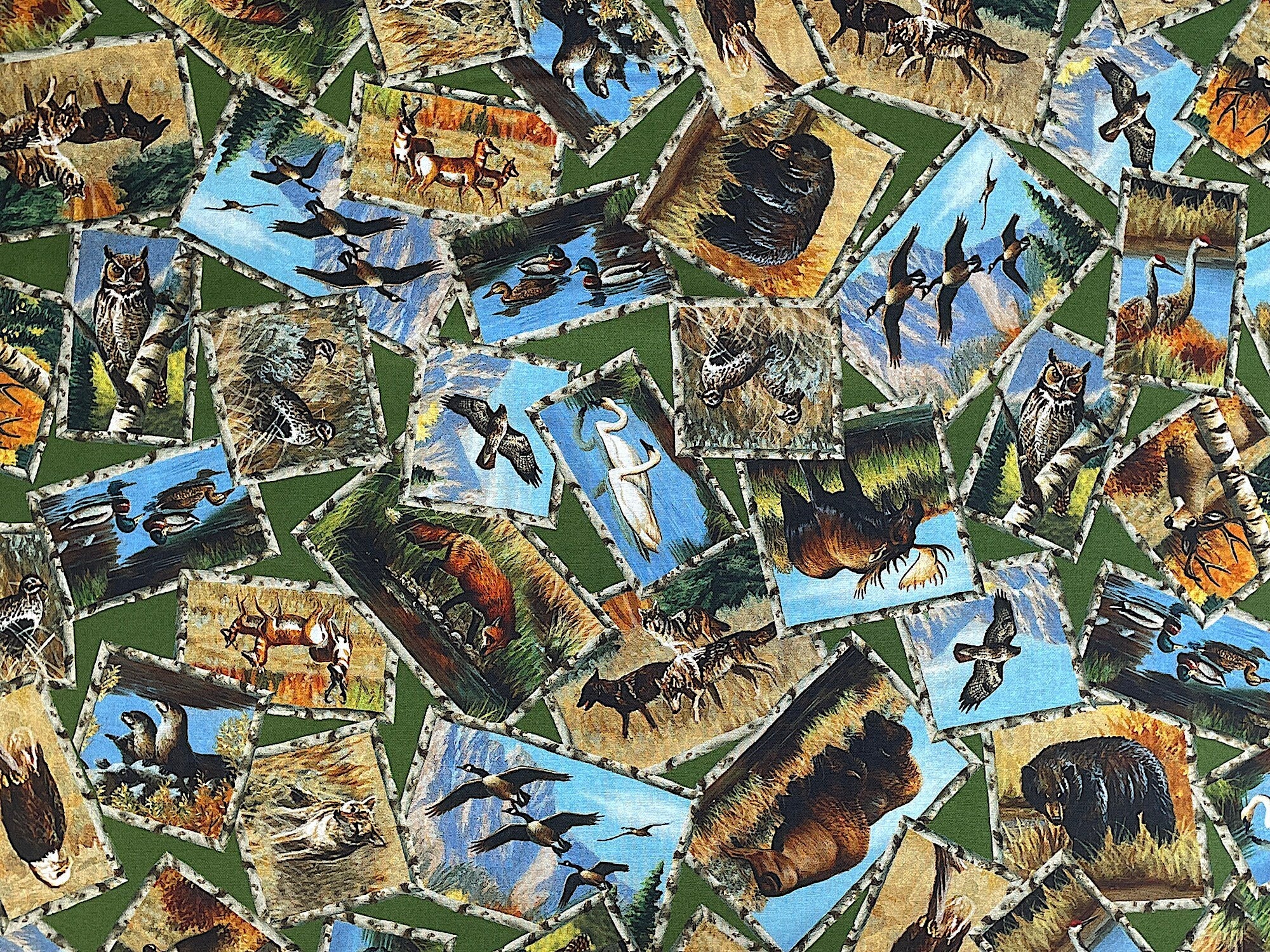 This cotton fabric is covered with wildlife that are in wood frames. The frames look like small branches and deer, buffalo, fox, swans, ducks, birds are inside of the frames. This fabric is part of the Great Plains collection by QT fabrics.