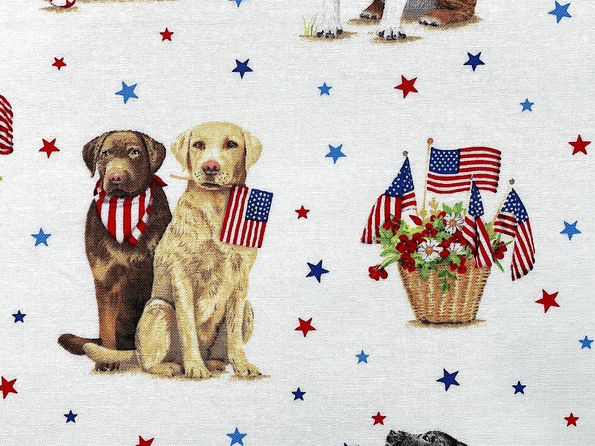 Close up of patriotic dogs and a basket of red flowers with USA flags.