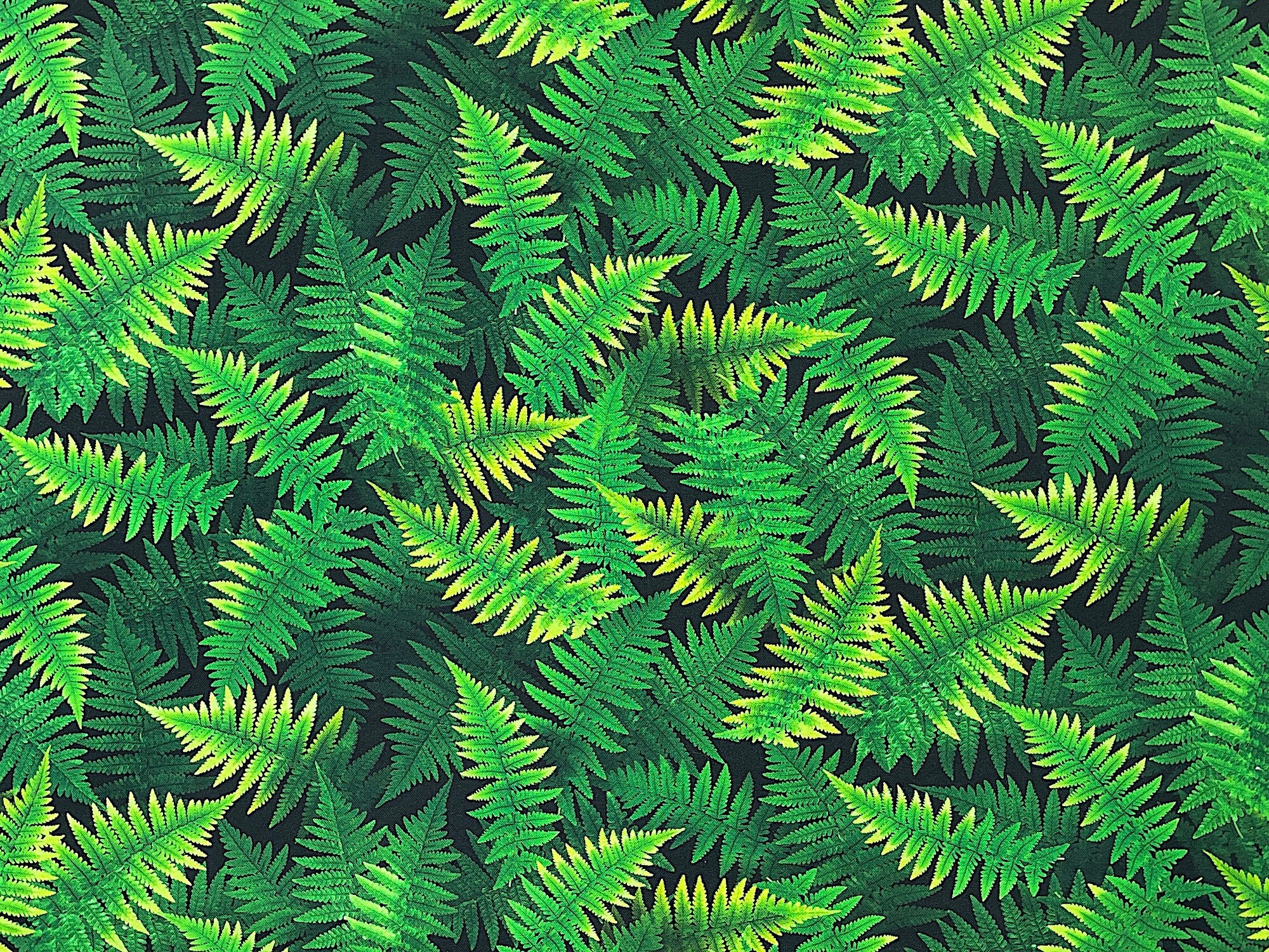 This cotton fabric is covered with green ferns. Some of the ferns have yellow tips. 