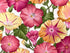 This cotton fabric is covered with large (see pictures) shades of red, pink and yellow morning glories and green leaves. This fabric is part of the Flower Festival collection by Benartex