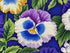 Close up of purple, blue, yellow and white pansy.
