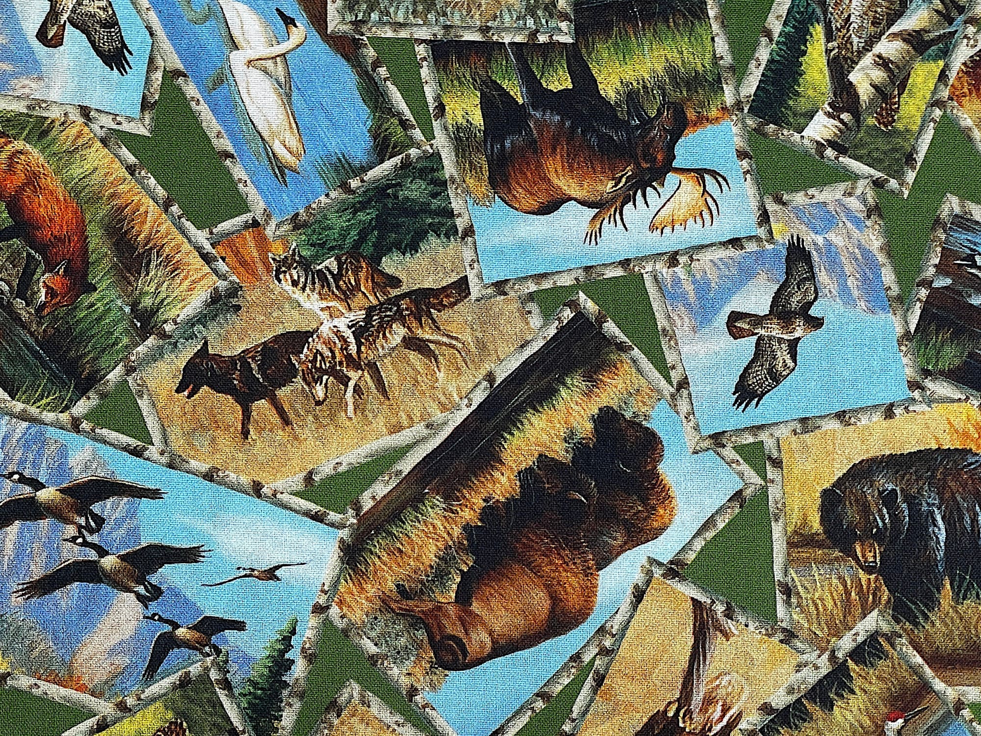 This cotton fabric is covered with wildlife that are in wood frames. The frames look like small branches and deer, buffalo, fox, swans, ducks, birds are inside of the frames. This fabric is part of the Great Plains collection by QT fabrics.