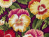 Close up of pansies that are yellow, red, orange and whit