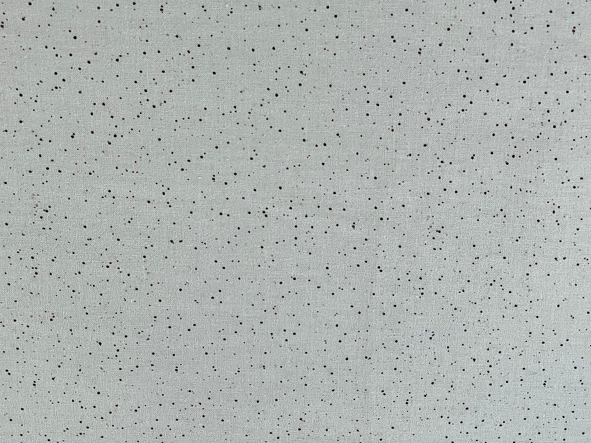 This cotton fabric is part of the Bramble Patch Collection by Hannah Dale. This light grey fabric is covered with splatter dots.