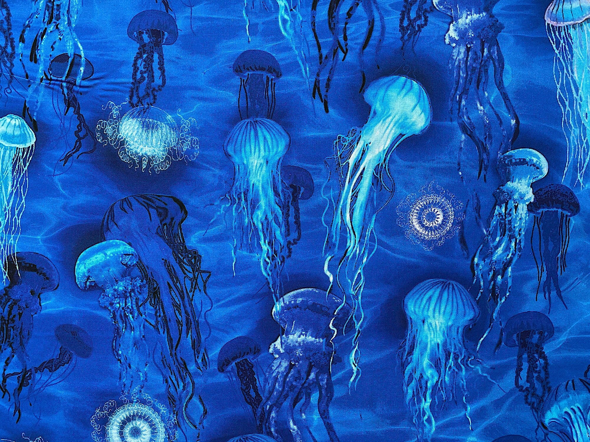 This fabric is called Jellyfish. This fabric is covered with jellyfish swimming in the water. This fabric is part of the Oceana collection by Kanvas Studio.