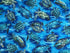 This fabric is called Sea Turtle Haven. This fabric is covered with blue and green sea turtles swimming in water. This fabric is part of the Oceana collection by Kanvas Studio