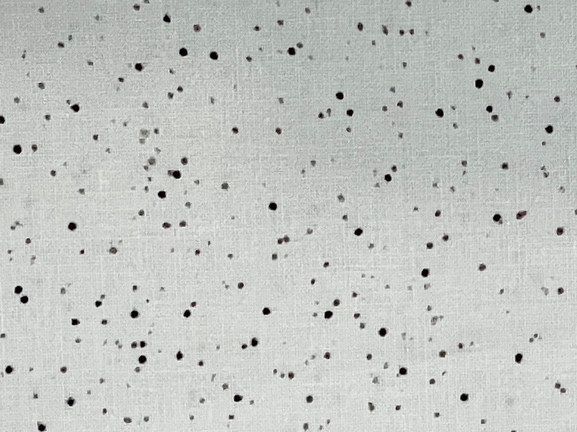This cotton fabric is part of the Bramble Patch Collection by Hannah Dale. This white fabric is covered with splatter dots. 