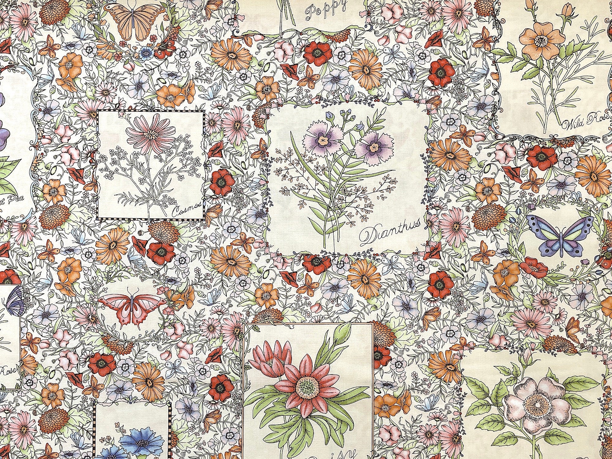 This fabric is called Flower Frames Cream and is part of the Garden Stroll Collection by Kris Lammers. This cream colored fabric is covered with flowers in frames. You will find wild rose, daisies, dianthus, poppies, pansies, butterflies and more on this cream colored fabric.