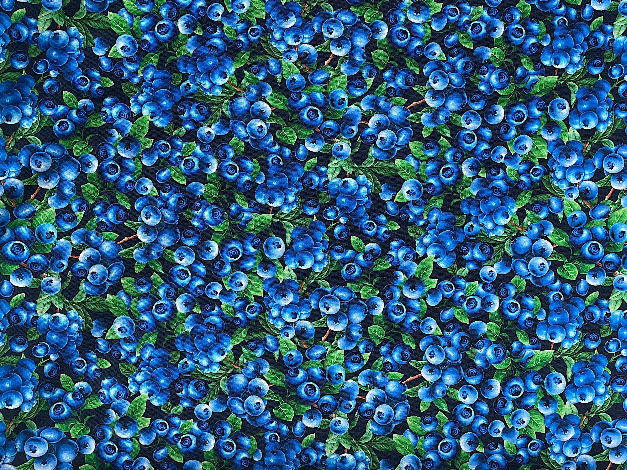 Cotton Fabric covered with blueberries and green leaves.