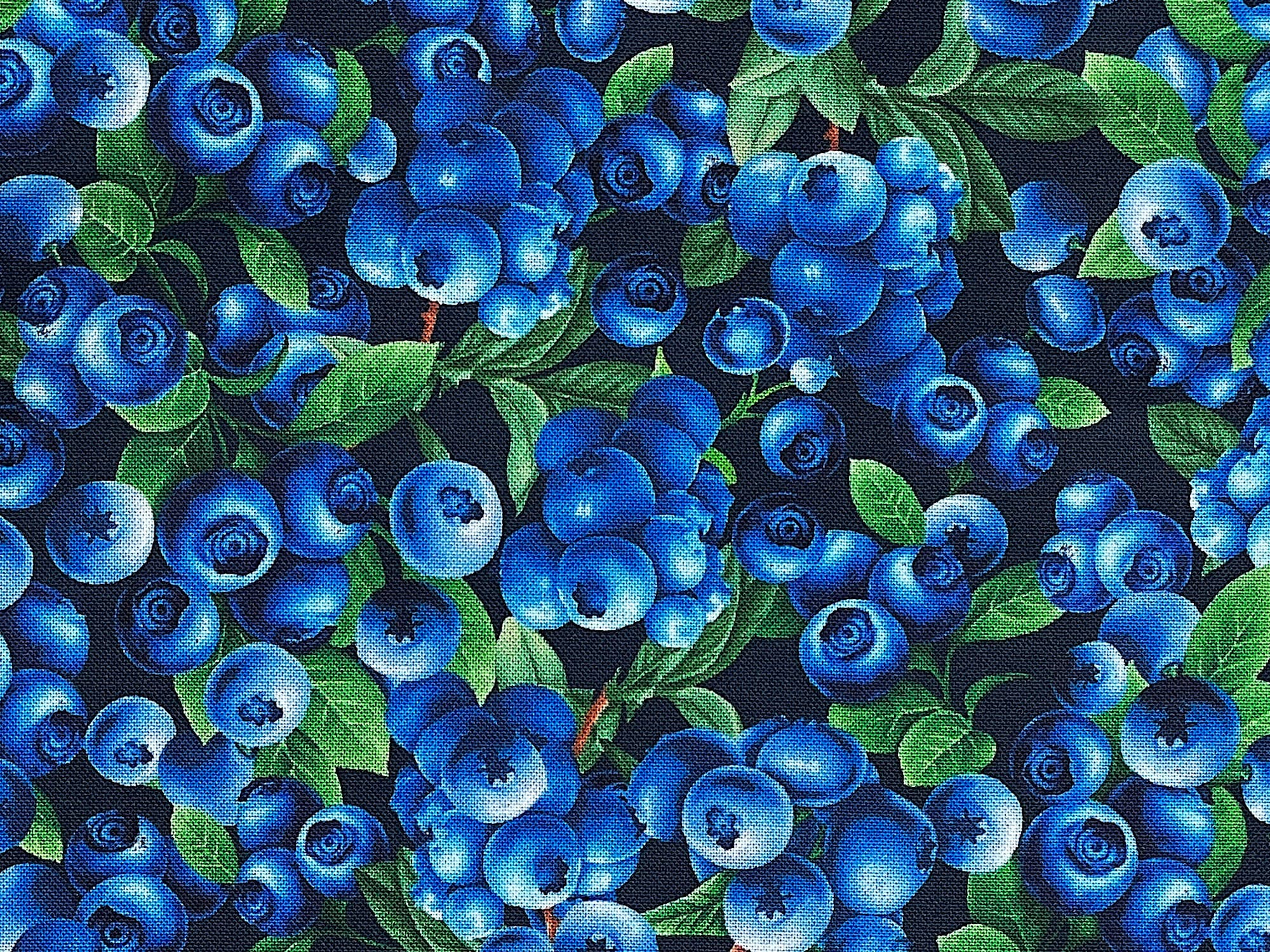 Close up of blueberries and leaves.
