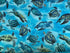 This fabric is called Sea Turtle Haven. This fabric is covered with blue, yellow and green sea turtles swimming in water. This fabric is part of the Oceana collection by Kanvas Studio