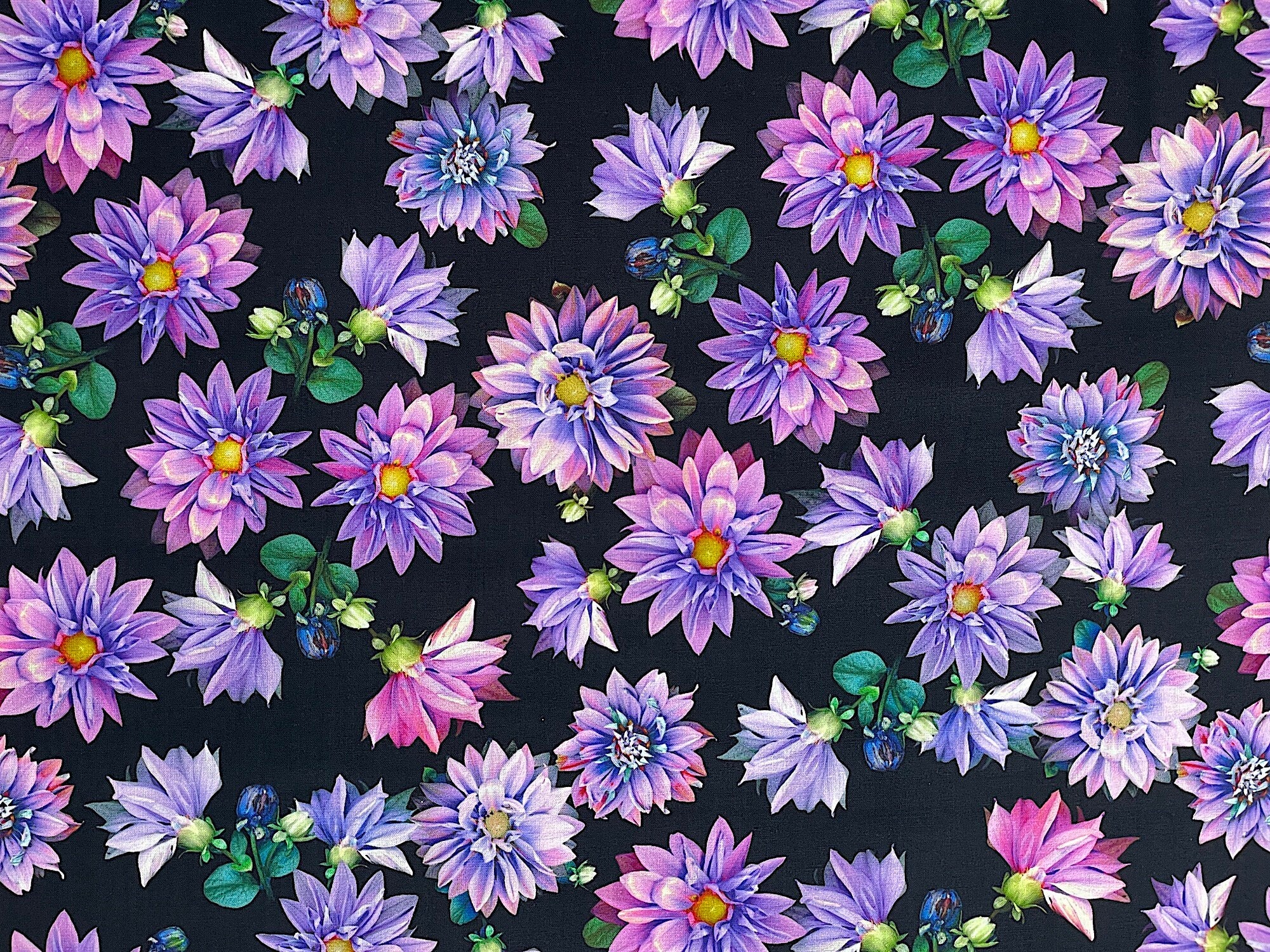 This black fabric is part of Tina's Garden collection by Tina Leto for Clothworks. This fabric is covered with dahlias in various shades of purple and green leaves