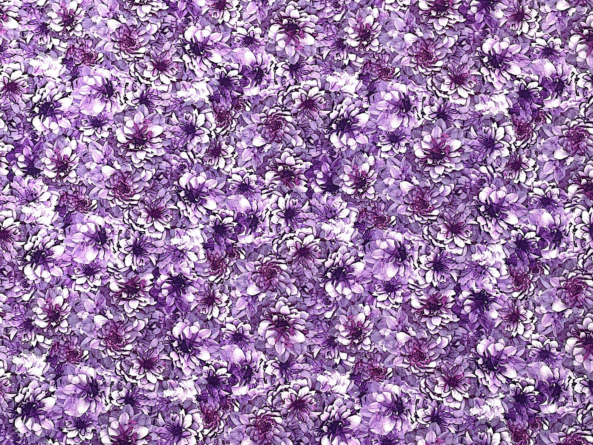 This Dahlia fabric is part of Tina's Garden collection by Tina Leto for Clothworks. This fabric is packed with dahlias in shades of purple and lavender