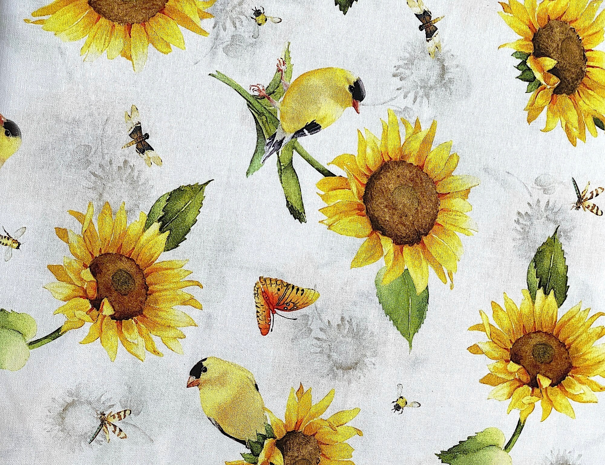 Close up of sunflowers, birds and butterflies.