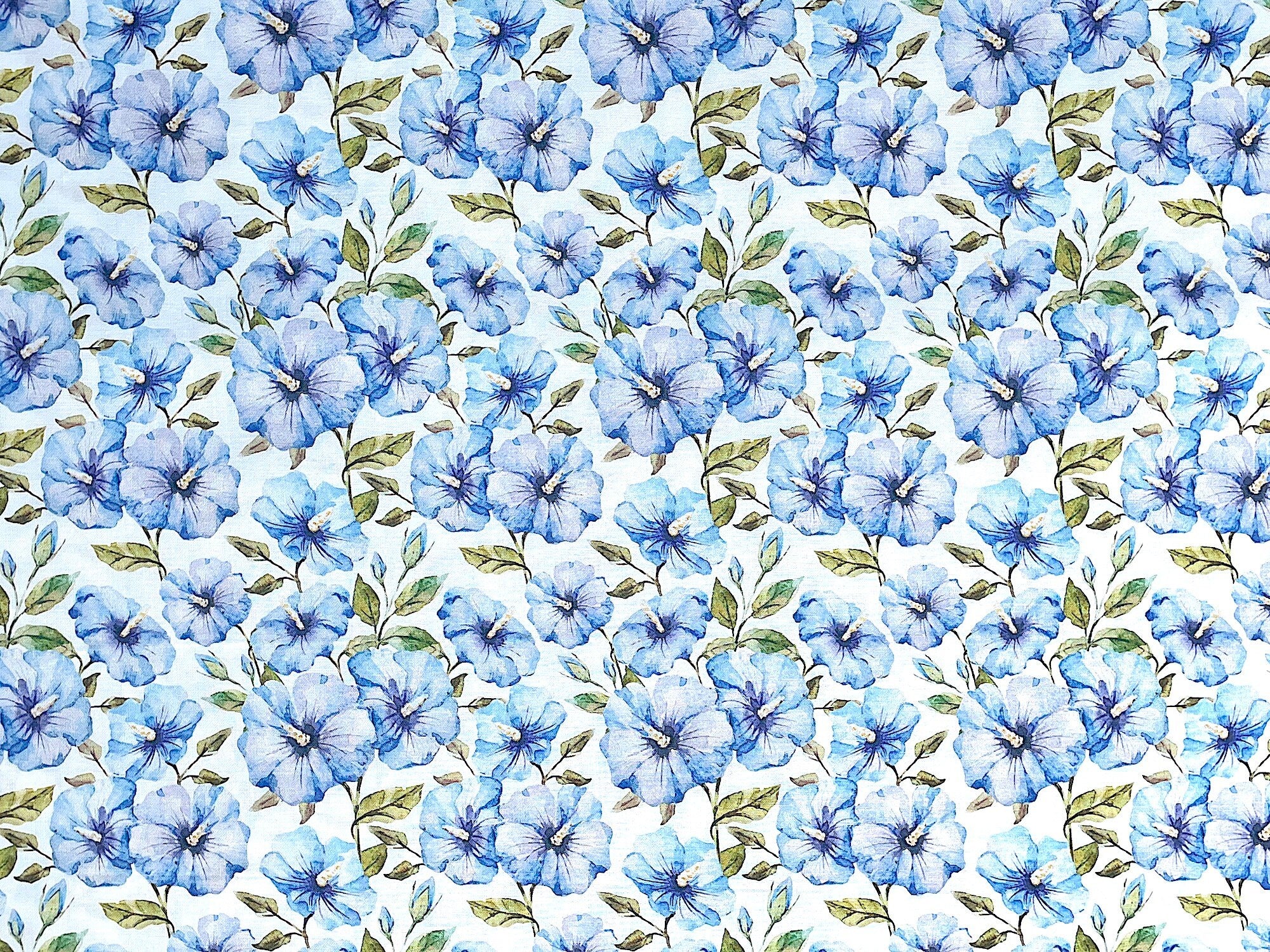 White cotton fabric covered with light blue morning glory.