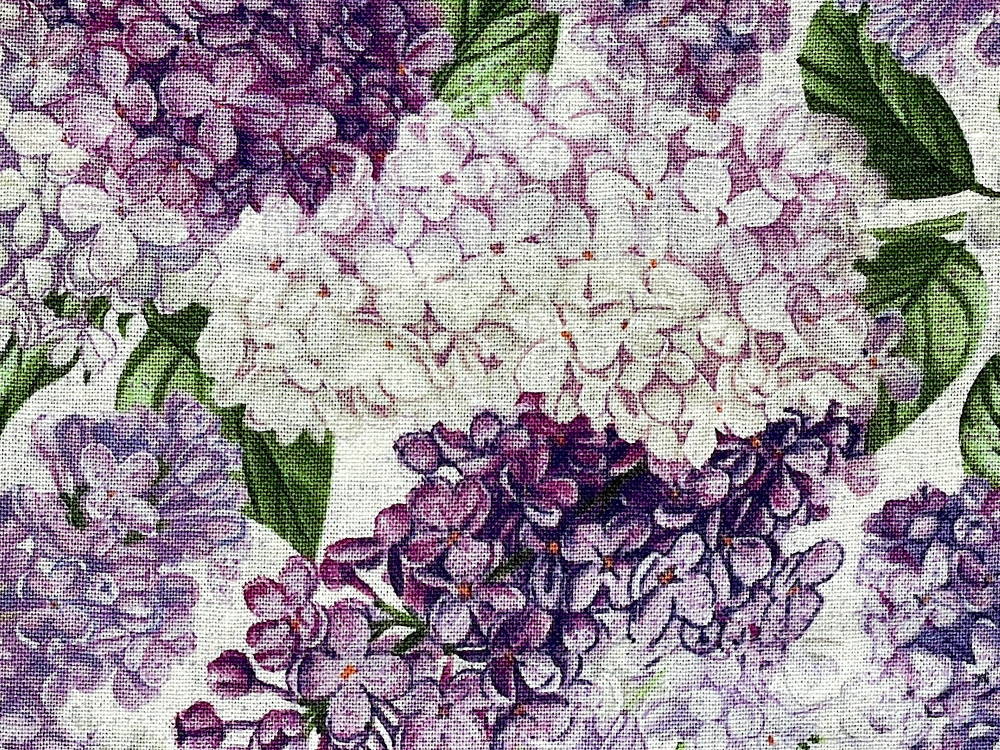 Close up of lilacs.