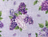 Close up of a bunch of white and purple lilacs.
