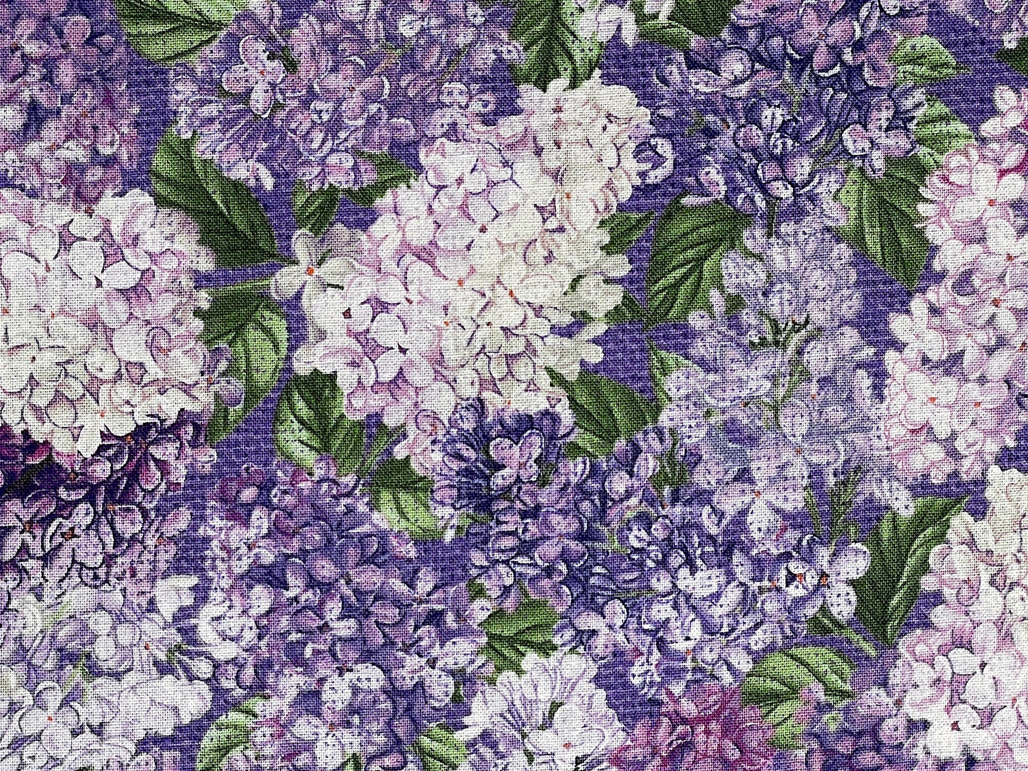 Close up of purple and white lilacs.
