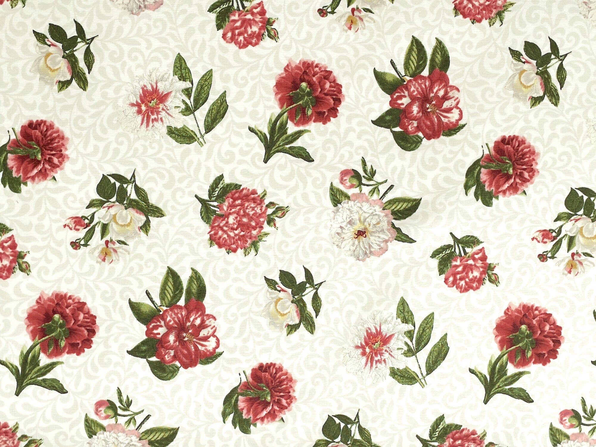 White cotton fabric covered with red and white peonies.